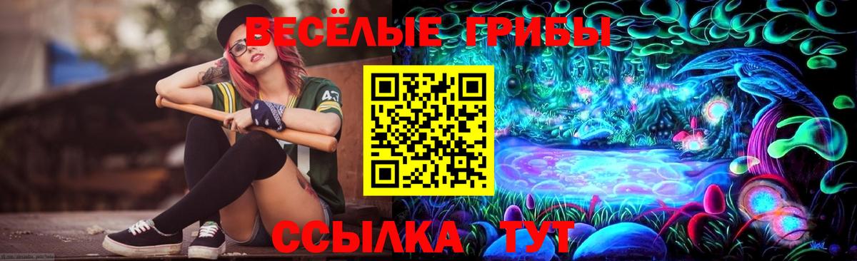Галлюциногенные грибы Psilocybe Сорочинск